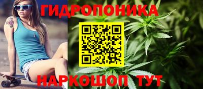 стафф Туймазы