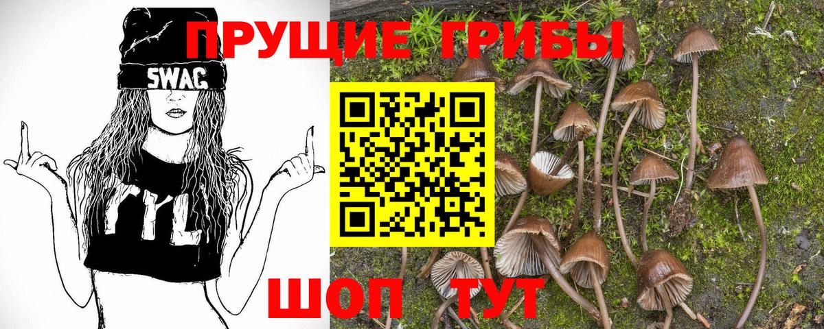 Галлюциногенные грибы GOLDEN TEACHER Бор