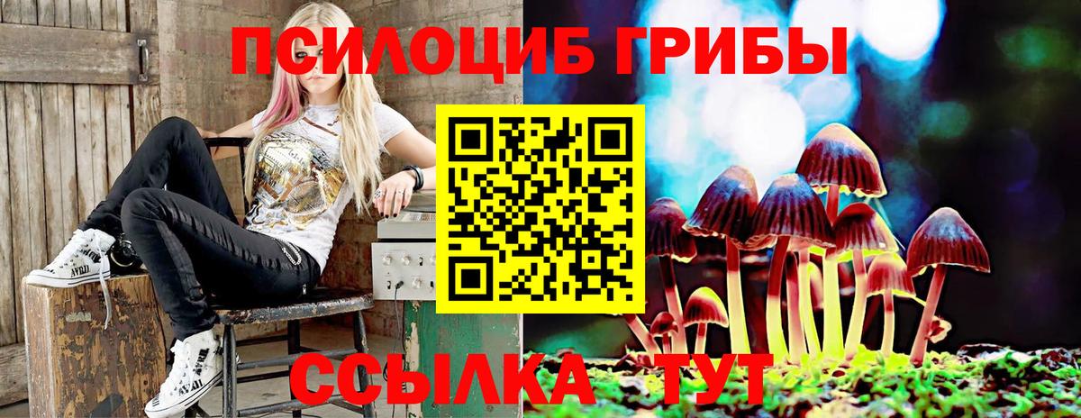Псилоцибиновые грибы прущие грибы  купить закладку  Бор  Вход с VPN 